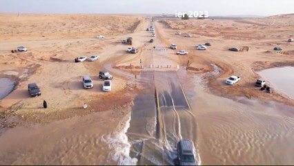 En Arabie Saoudite, une vallée fluviale en crue dans le désert