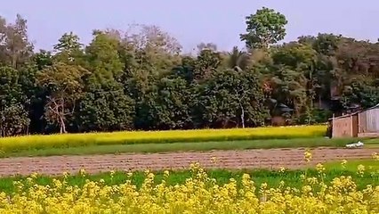 Beautiful village// village beauty
