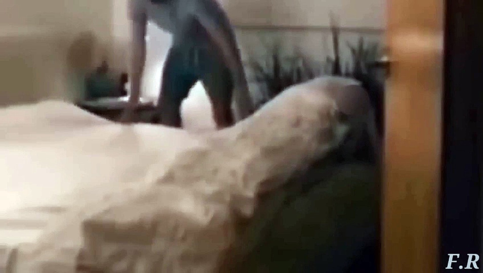 Scary and real ghost