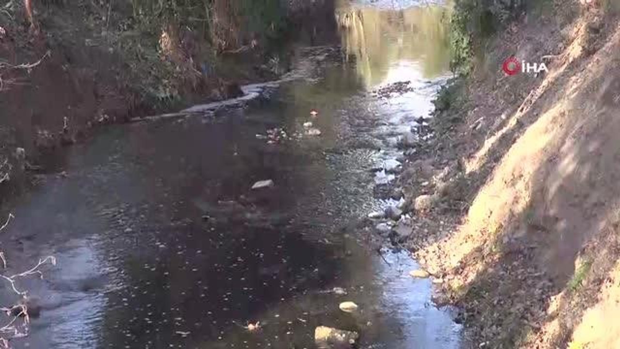 Bir ay önce beyaza bürünen dere şimdi simsiyah