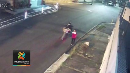 tn7-perro-salva-a-su-dueño-170123