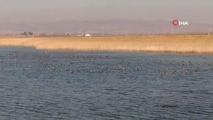 Göller bölgesinde kuşların izini sürüyorlar
