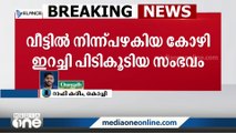 വീട്ടിൽ നിന്ന് പഴകിയ ഇറച്ചി പിടികൂടിയ സംഭവം: ഭക്ഷ്യസുരക്ഷാ വിഭാഗം പരിശോധന നടത്തി