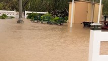 Dog park in California turns into a swimming pool after intense storm causes creek to flood entire neighbourhood