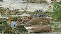 El viento provoca destrozos en Albacete y en numerosas localidades del Mediterráneo
