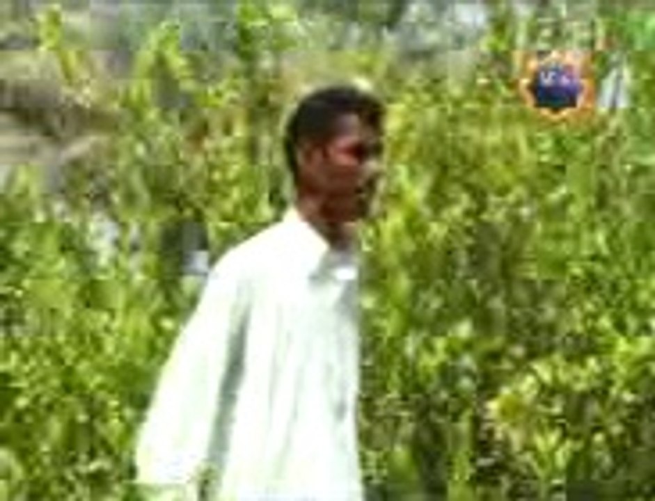 BE ASRE MAHER FILM SONG ACTOR MAJID ESSA