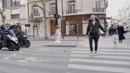 Thibault milite pour pouvoir promener chien sans laisse dans Paris