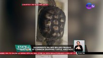 Nagbebenta ng Red Bellied Piranha at Common Snapping Turtle, arestado | SONA