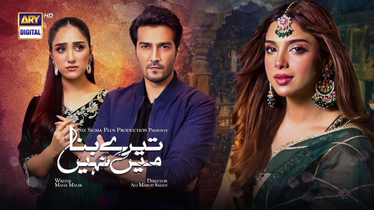 Tere Bina Mein Nahi Episode 4   -  17th January 2023  ARY Digital