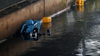 Leichenteile in Hamburger Kanal: Großteil gefunden