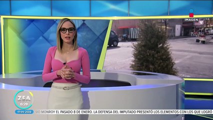 Fracasa estrategia de donar árboles de Navidad en la alcaldía Venustiano Carranza