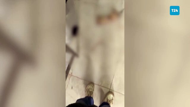 O veteriner hekim anlatıyor: 'Köpek' bölümünden sonra atandığım 'kedi' bölümünde de kıyım vardı, izinli olduğum gün 48 kedi birden ölmüş ve benin nöbetime yazmışlar; kutuda unutulup açlıktan ölen hayvanlar var!