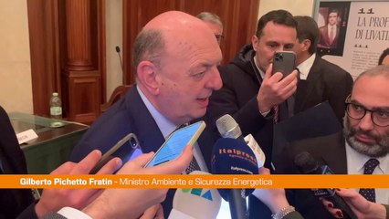 Pichetto Fratin "Impegno del governo per abbassare costi energia"
