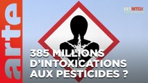 385 millions de personnes par an intoxiquées aux pesticides ? | 17/01/2023 | Désintox | ARTE