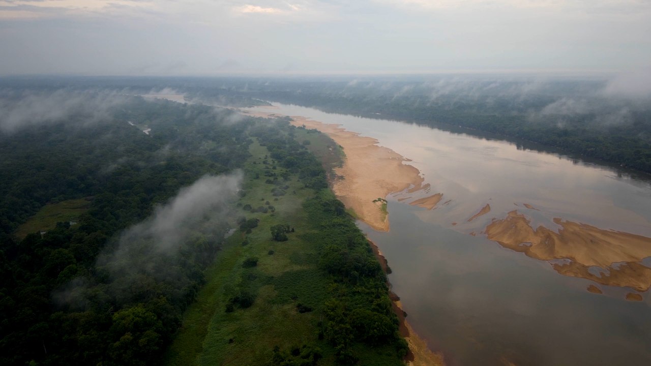 El espectacular anidamiento de la tortuga gigante del Amazonas, en riesgo de extinción