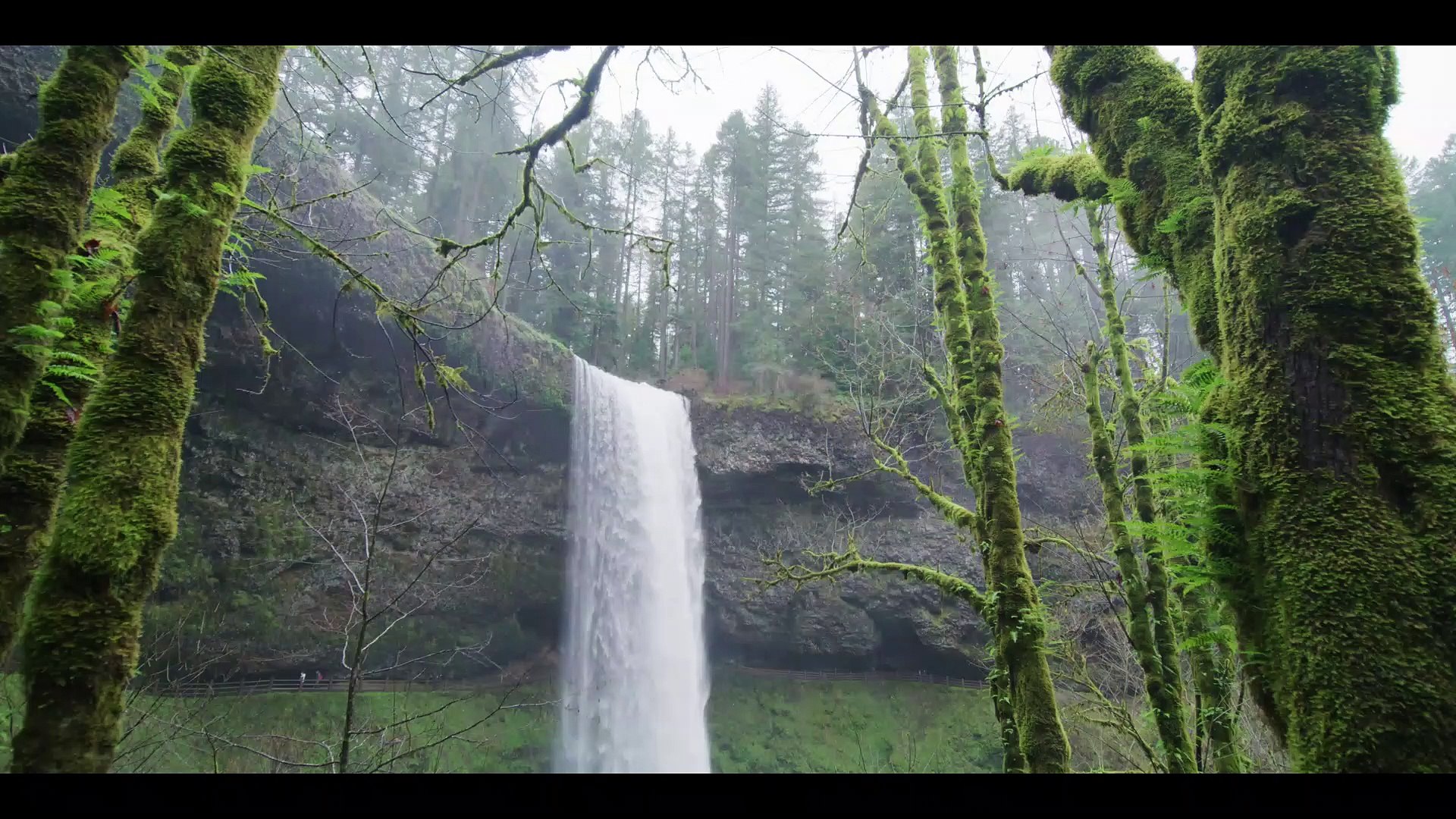 ⁣Experience the Relaxation of Waterfall and Bird Sound: