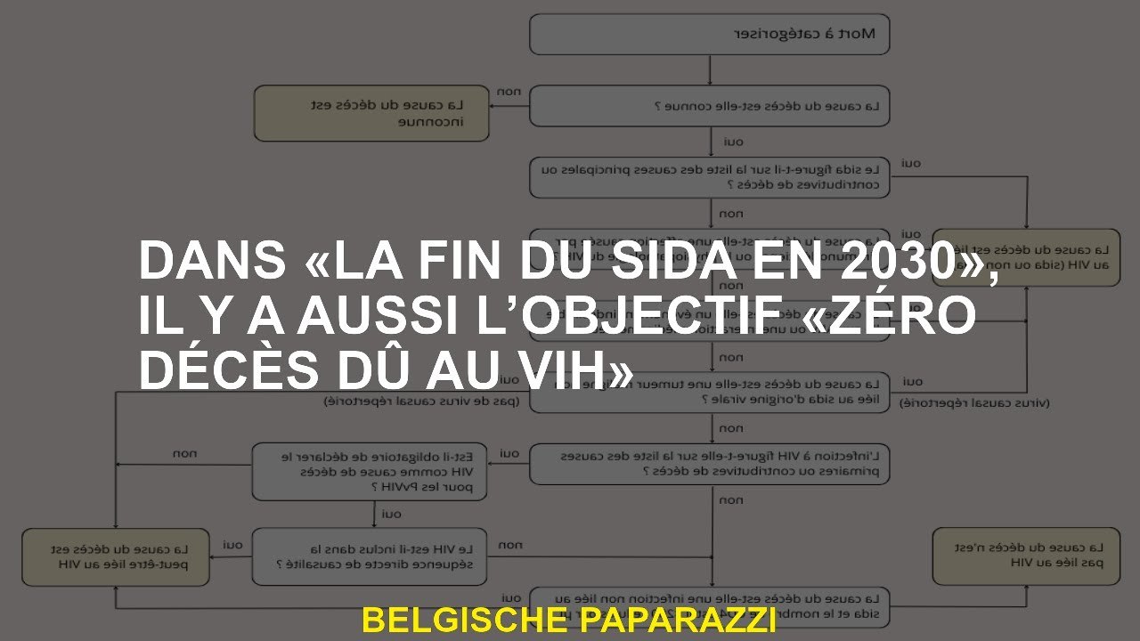 Dans "La fin du sida en 2030", il y a aussi l'objectif "zéro décès dus au VIH"