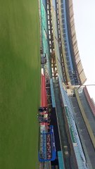 Cricket news: हिमाचल से पहुंचे क्यूरेटर, घासयुक्त पिच रखी जाएगी