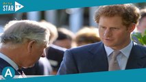 Prince Harry : il pourrait ne pas honorer son invitation au couronnement de Charles III
