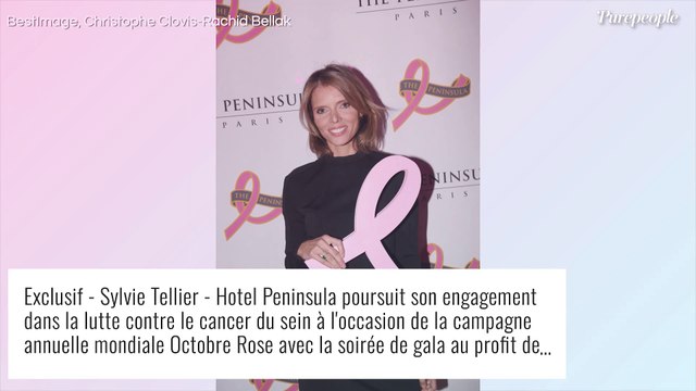 Sylvie Tellier déjà de retour : son nouveau projet risque de faire des jalouses