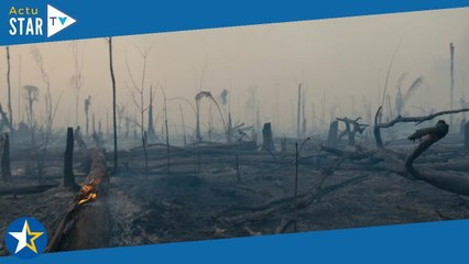 La forêt amazonienne : notre terre (Disney+), un documentaire choc sur la lutte contre la déforestat