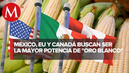 México impone arancel de 50% a exportaciones de maíz blanco para estabilizar precio de tortilla