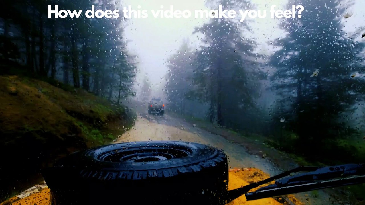 How does this video make you feel