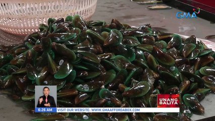 BFAR: 8 coastal areas ang positibo sa red tide | UB