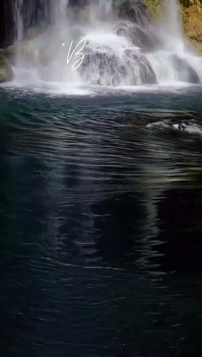 Quotes orang pendiam