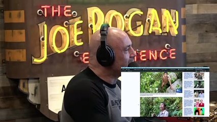 Joe Rogan: Japanese Fighter Pilot Crashes Plane & Lives In The Jungle 25 Years Thinking It IS WW2 !