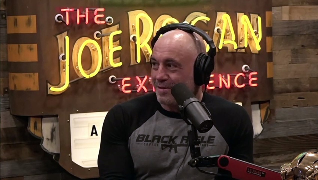 Joe Rogan- Man Gets STUNG By Wasp In HIS Private Area!-! & The Candiru Which Swims UP Your Junk!-!