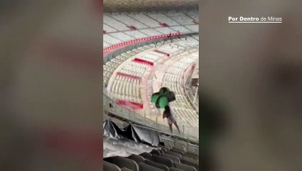 Adolescente fica ferida após cair de tirolesa no Estádio Mineirão