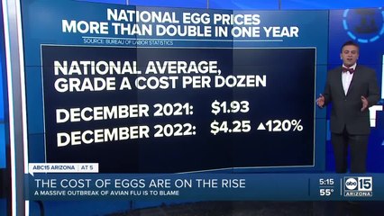 Cost of eggs continue to be on the rise