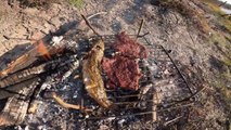 Dia de pesca y cocina en Hermoso Arroyo | Pesca y aventura | Bagre sapo a la parrilla