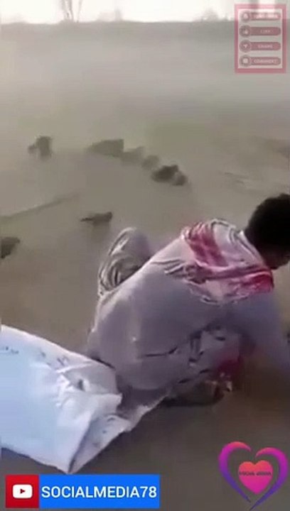 Birds Trapped in the Net