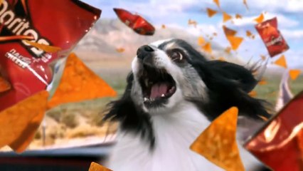 Look What Happens to the Octopus Locked in a Jar...