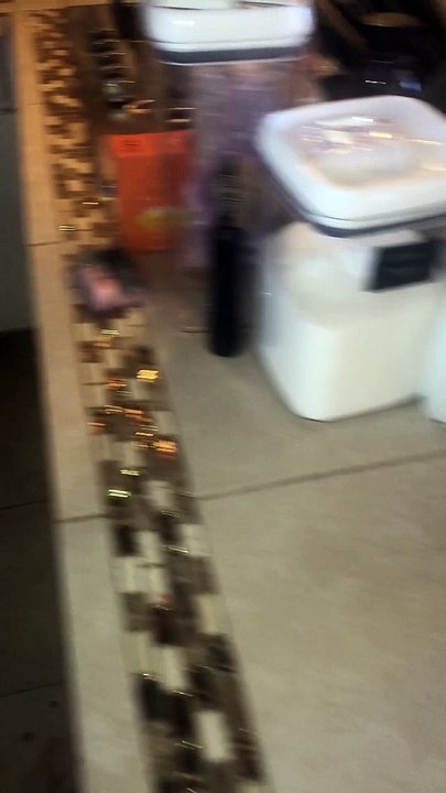 Rescuing a Cat Stuck Behind Kitchen Cabinets