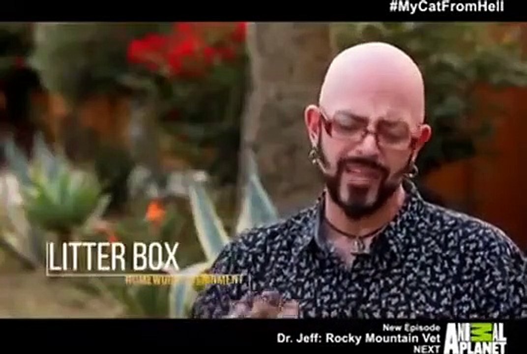 My Cat From Hell - Se8 - Ep04 - Scary Tails HD Watch