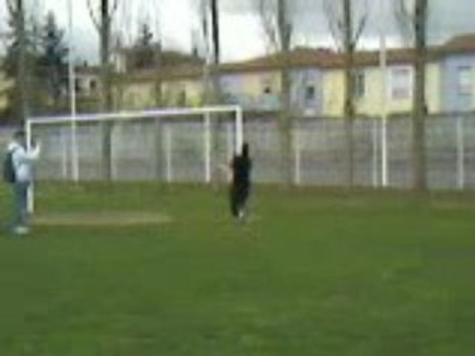 Jackass flo