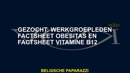 Gezocht: werkgroepleden Factsheet Obesitas en factsheet vitamine B12