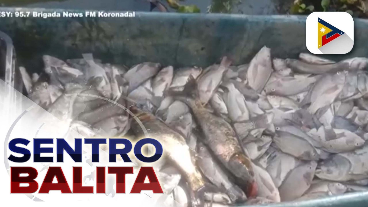 Lugi ng mga palaisdaan sa Lake Sebu, South Cotabato na naapektuhan ng fish kill, umabot sa P12-M