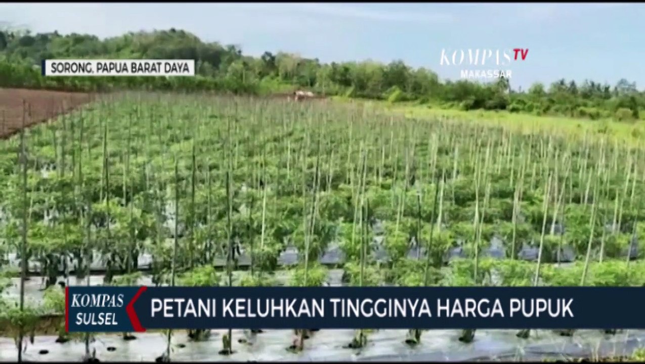 Petani Keluhkan Tingginya Harga Pupuk - Video Dailymotion