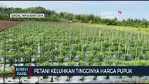 Petani Keluhkan Tingginya Harga Pupuk