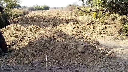 खगों की उड़ान में खलल तो खोला घना के खिलाफ मोर्चा