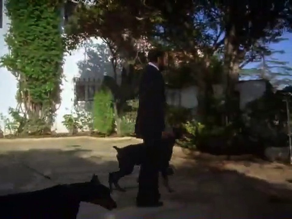 Hart to Hart - Se1 - Ep10 HD Watch