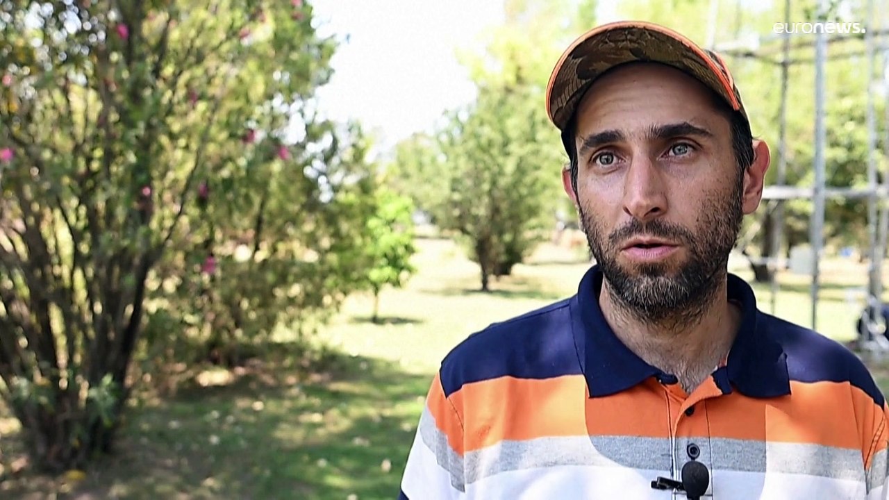 Argentina | El sector agrícola sufre pérdidas multimillonarias debido a la sequía "histórica"