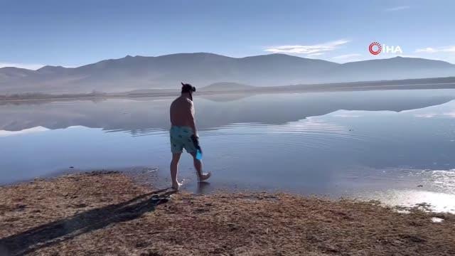 Sahibinden kaçarak baraja giren inek boğularak telef oldu