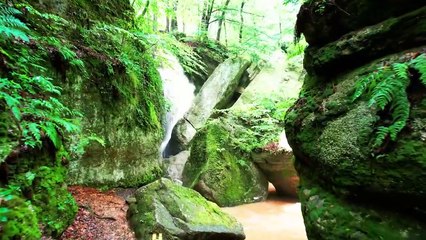 Beautiful Relaxing Music  Peaceful Piano Music, Stress Relief, Deep Focus, Peaceful Relaxation