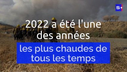 2022 a été l'une des années les plus chaudes de tous les temps