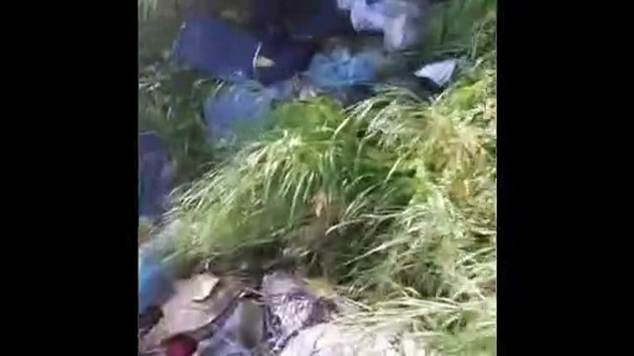 Cosenza, Parco del Benessere insidiato dal degrado... e dai topi